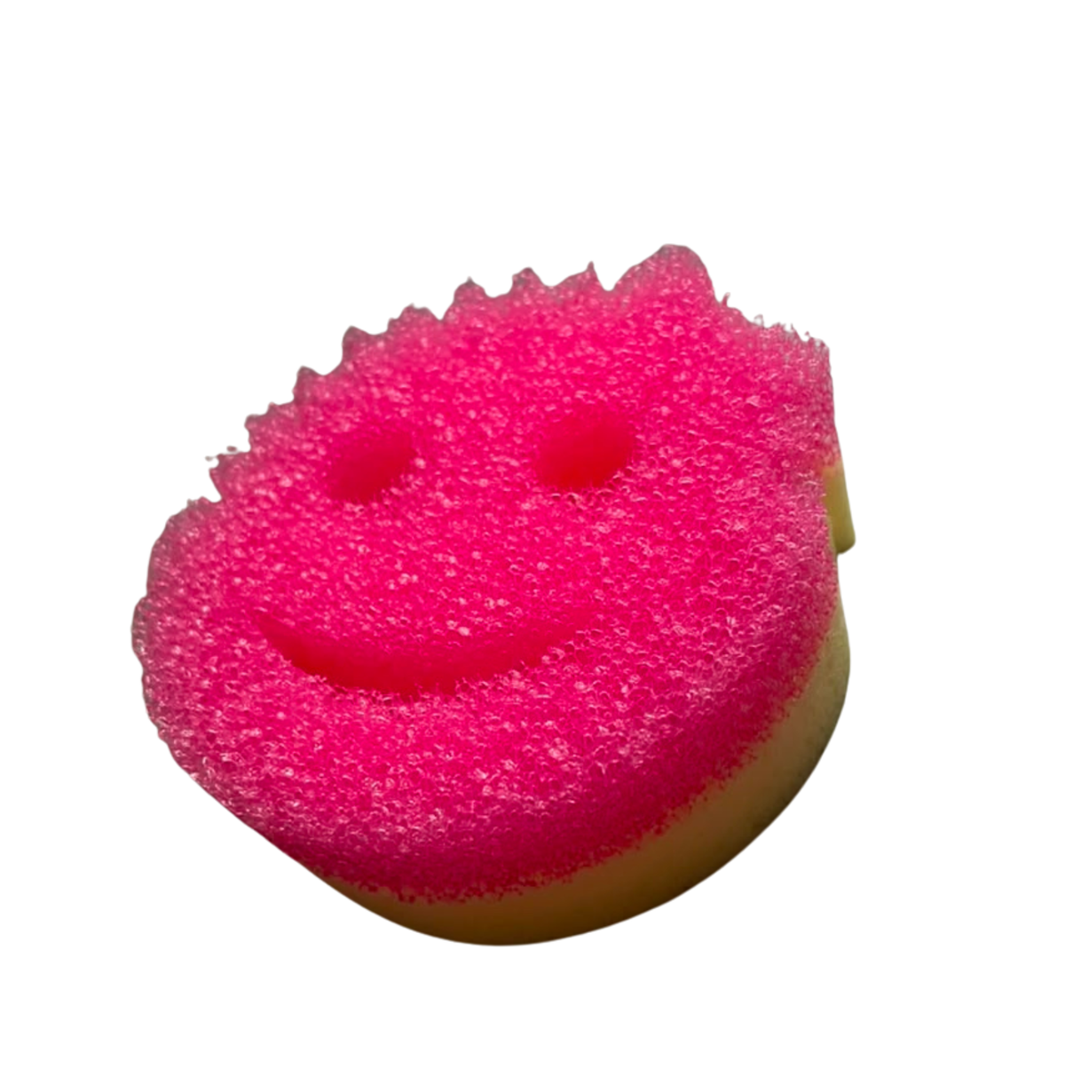 Esponja (Scrubb Mommy)