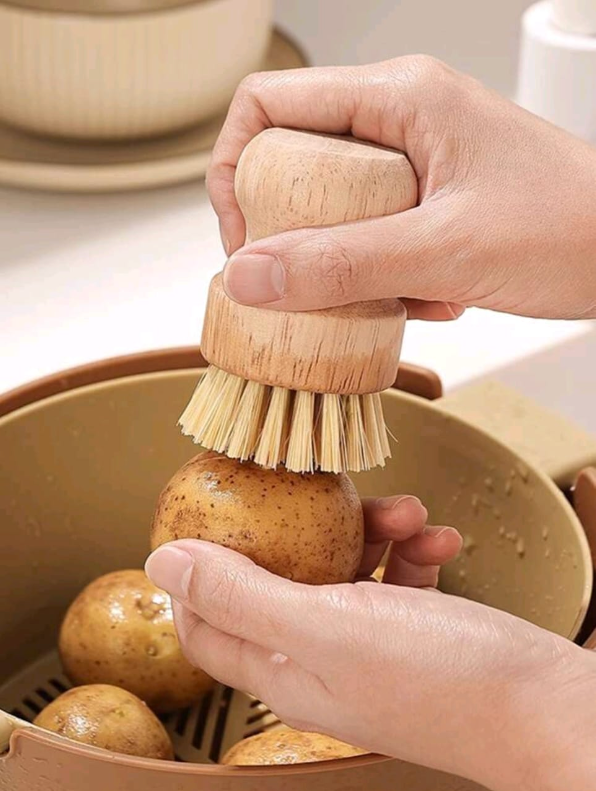 Cepillo de Bambu con Mango de Madera